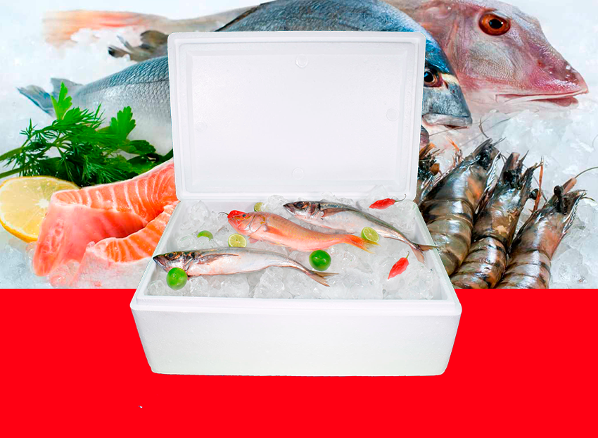 caja termica 27 lt